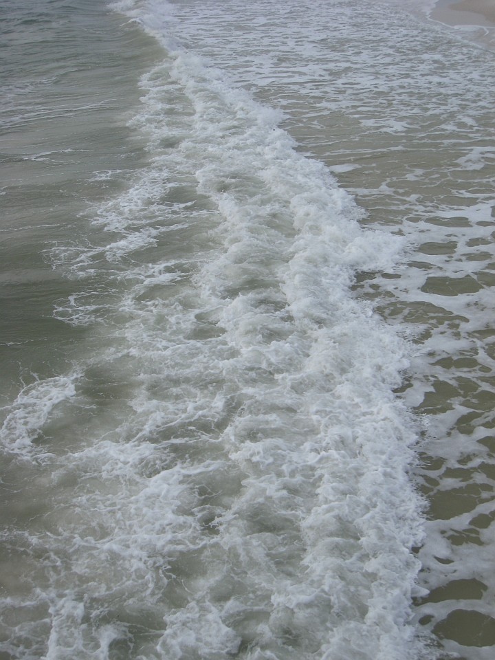 Vacation 2007-12 - Beaches Disney Hotels 0379.jpg - On the 2007-08 Florida vacation we visited beaches from Fort Myers to Sanibel Island sampling local food along the way. Green water and white sugar beaches! Arriving at Disney World we visited several of the theme resorts.